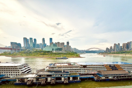 DƯƠNG TỬ GIANG (16)