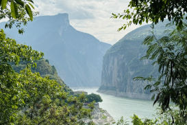 DƯƠNG TỬ GIANG (21)