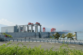 DƯƠNG TỬ GIANG (24)