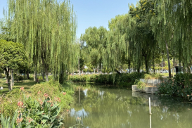 DƯƠNG TỬ GIANG (25)