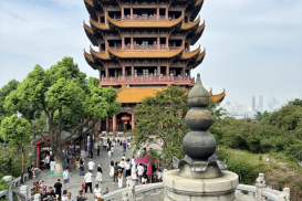 DƯƠNG TỬ GIANG (27)