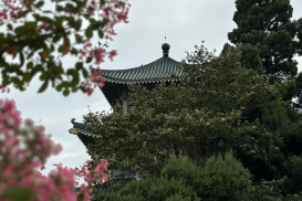 DƯƠNG TỬ GIANG (28)