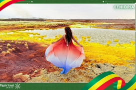 Bản sao của WEB PICS 2 - sw9