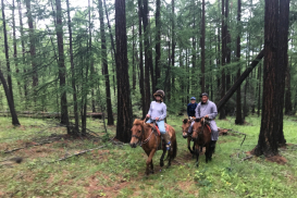 6138F85B-0ECB-4EFB-AFD4-CBD939FE6A41