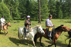 82542A43-F0FF-4E52-9EC1-A80541662A24