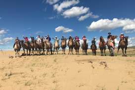 F8E9B8CB-7C2E-486F-BDDD-130C5E8E9D5A