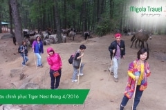 bat-dau-chinh-phuc-tiger-nest-thang-4-2016