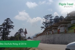 deo-dochula-thang-4-2016