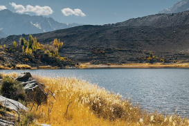 pakistan-thu-2025 (19)