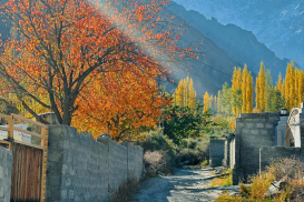 pakistan-thu-2025 (42)