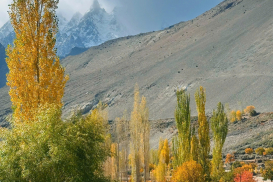 pakistan-thu-2025 (43)