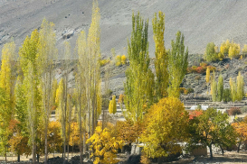 pakistan-thu-2025 (53)