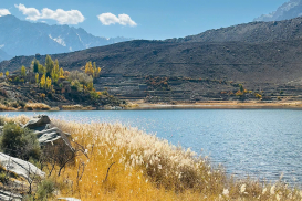 pakistan-thu-2025 (58)