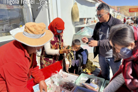 z6682307300782_d1a1944cdc301f1e369b083772f9e4f7