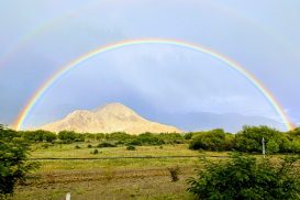 z6967251834765_e9da5e50277c435b8280e9e59203452b