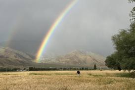 z6968150627255_8263691c5edb93acbddcc25cf0354931