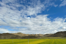 z6968517932281_62312fb76a8fd1572daa3ceee620b698