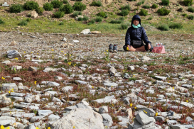 z6975348938229_babddacab6e0430501c33ed233c0fd52