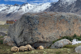 z6984117997389_bc9dc302b7770fc46d523331286da34d