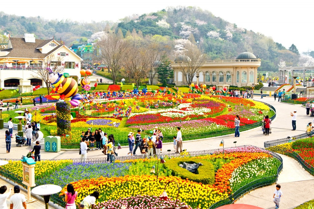 Tour Hàn Quốc Hoa Anh Đào: Seoul – Everland – Nami