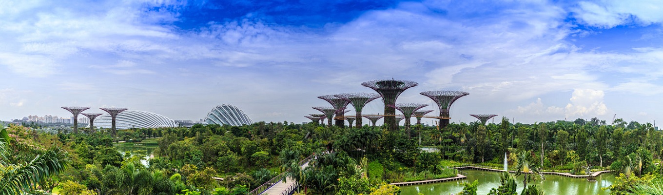 Trải rộng 101 hecta, khu vườn cây  xanh Gardens by the Bay hiện đại là nơi chứa hơn 250 nghìn loài cây  quý hiểm. Nơi đây cũng được biết đến với vườn hoa nhân tạo lớn nhất Đông Nam Á.