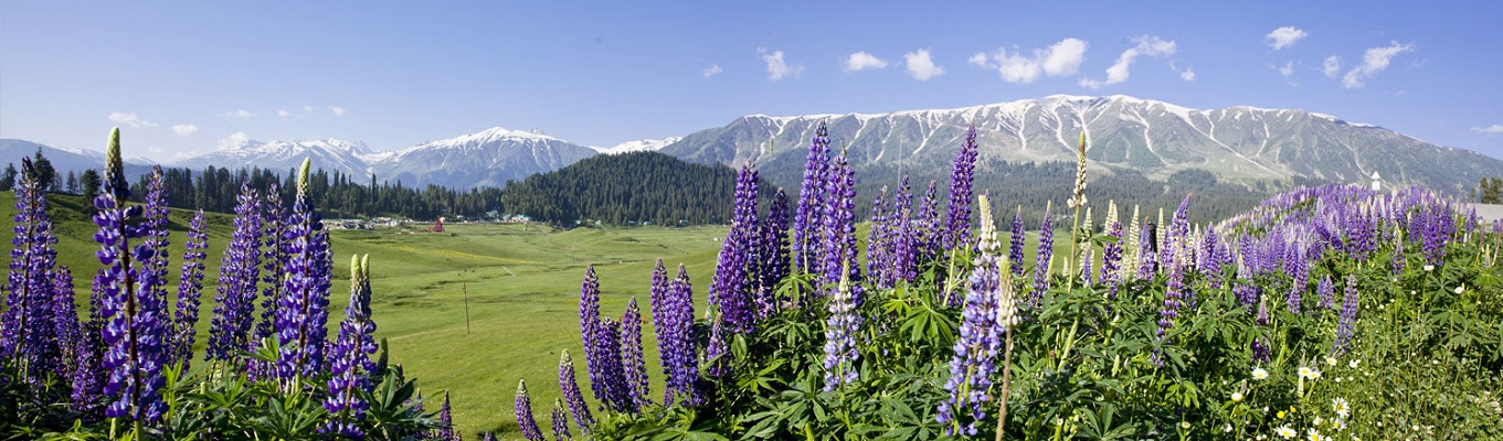 Thung lũng Kashmir nằm ở phía Tây Bắc của khu vực tiểu lục địa Ấn Độ. Giữa thế kỷ 12, nơi đây được biết đến như một hồ nước. Đây cũng là nơi thường xuyên diễn ra các cuộc xung đột chính trị, động đất,… Cho đến những năm sau đó, khi tình hình dần ổn định, người Ấn bắt đầu chú ý tới cảnh sắc xinh đẹp của thung lũng. Những ngọn núi tuyết, những dòng sông băng dần hiện hữu làm say lòng người ngắm