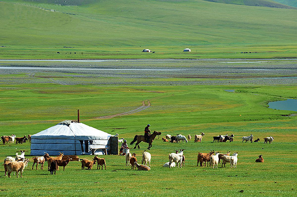 Tour Mông Cổ - Khám Phá Thảo Nguyên - Migola Travel