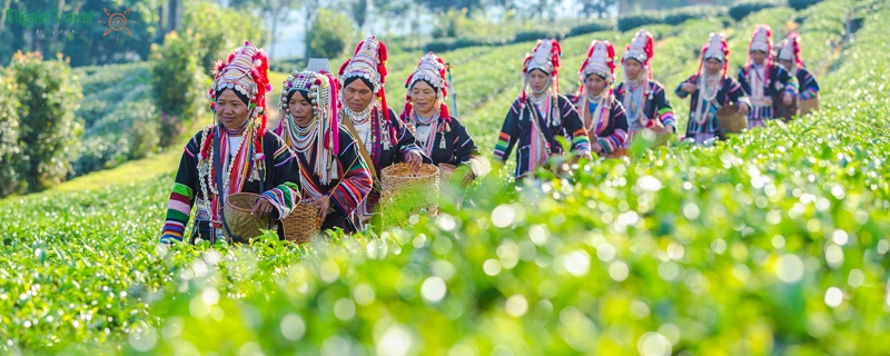 du-lich-chiang-rai-thai-lan