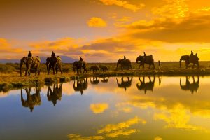 kruger-national-park