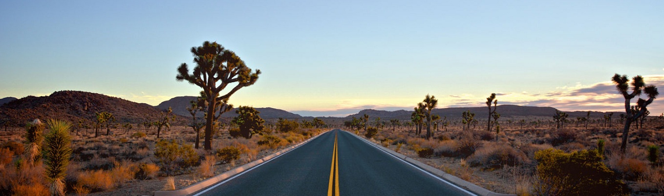 Hoang mạc Mojave, người địa phương thường gọi là High Desert (có nghĩa là Hoang mạc trên cao), chiếm một phần lớn vùng đông nam California và những phần nhỏ hơn của trung California, nam Nevada, và tây bắc Arizona ở Hoa Kỳ