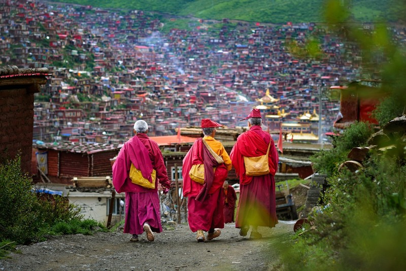 canh-dep-larung-gar