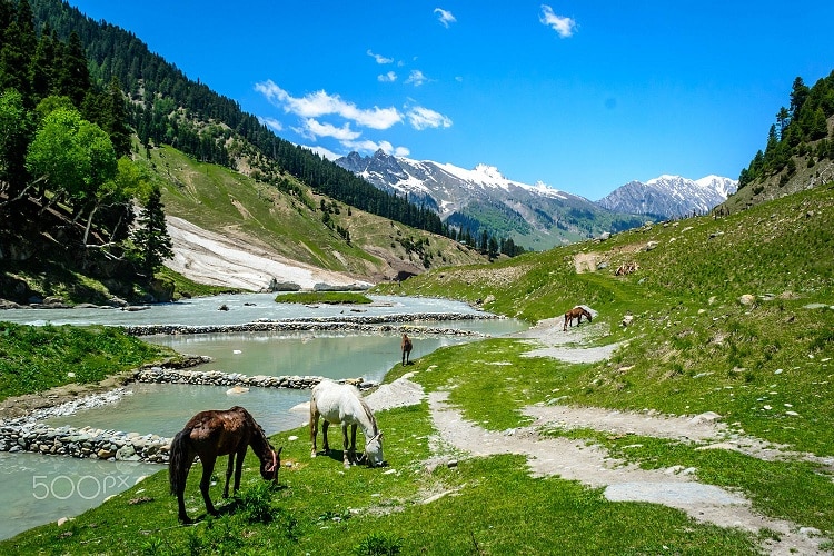 Thung lũng Kashmir còn được biết đến với nhiều tên gọi hoa mỹ khác