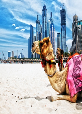 Tour Du Lịch Dubai – Abu Dhabi