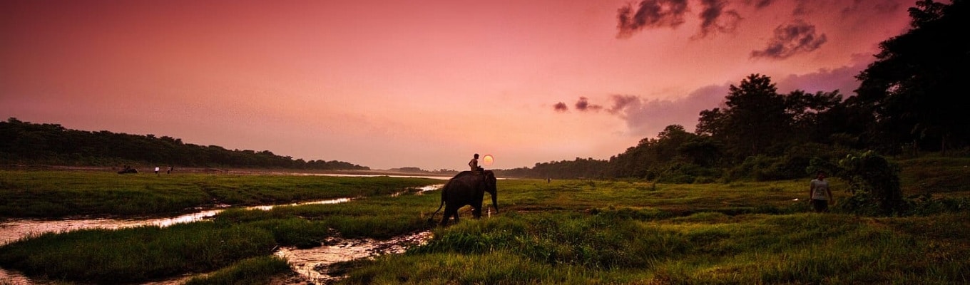 Vườn Quốc Gia Chitwan - vườn quốc gia đầu tiên ở Nepal. Trước đây gọi là Vườn quốc gia Hoàng gia Chitwan, được thành lập vào năm 1973 và là một di sản thế giới của UNESCO