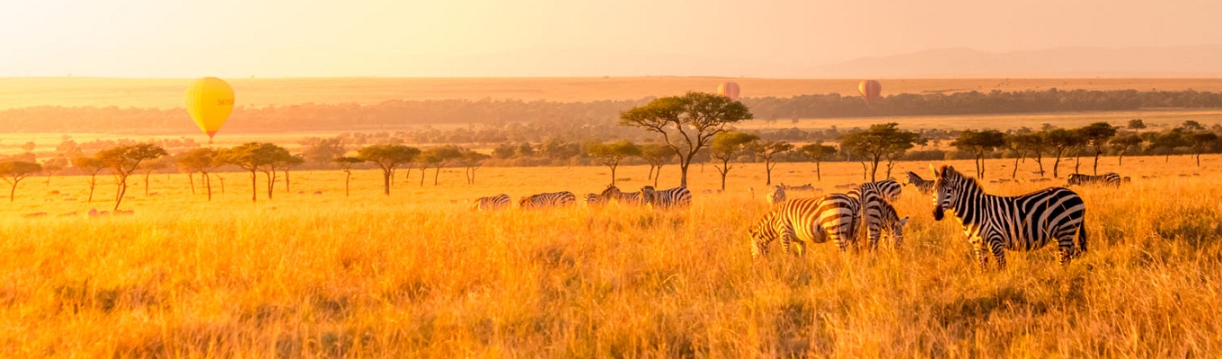 Khu bảo tồn quốc gia Masai Mara nằm ở Narok - Kenya, Tanzania. Khu bảo tồn này nổi tiếng trên toàn thế  giới nhờ số lượng lớn các loài sư tử Masai (hay còn gọi là sư tử Đông Phi), báo hoa Châu Phi và báo săn Tanzania..