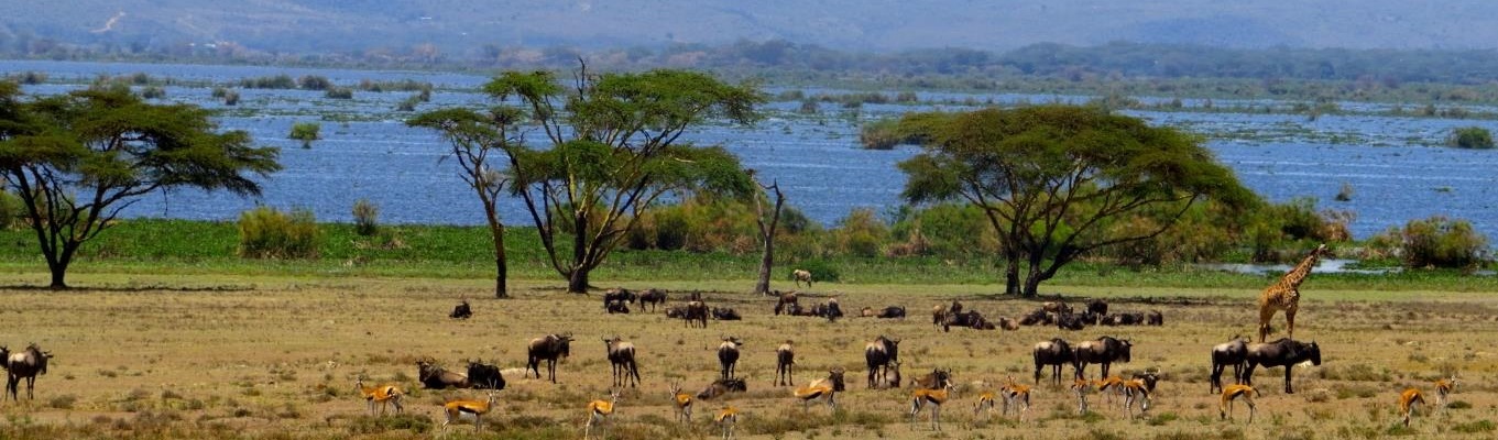 Vườn quốc gia Aberdare, một phần của dãy núi Aberdare - dãy núi cao thứ 3 ở Kenya với độ cao gần 4.000m, theo tiếng của người Kikuyu ngọn núi này được ví như một trong những ngôi nhà của Chúa.