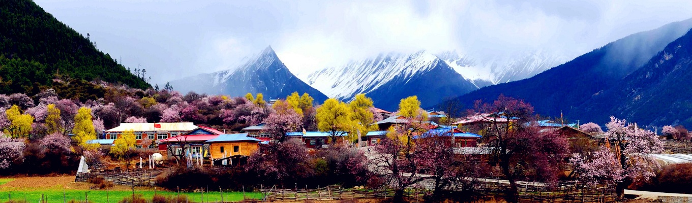 Nyingchi - Địa Khu Lâm Chi là một trong những thắng cảnh huyền bí có vẻ đẹp mê hoặc lòng người tại Tây Tạng. Người dân tại đây gọi địa danh này với tên gọi mỹ miều là: Ngai Vàng Của Mặt Trời Tây Tạng