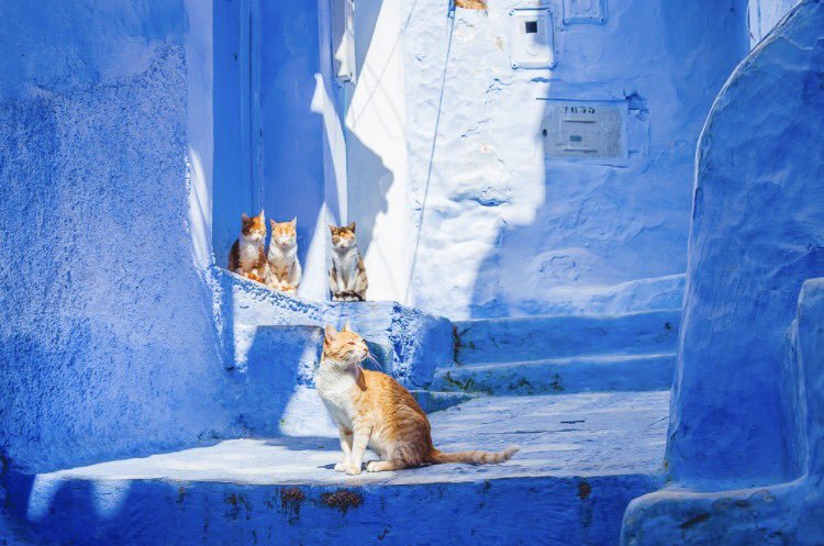 Chefchaouen