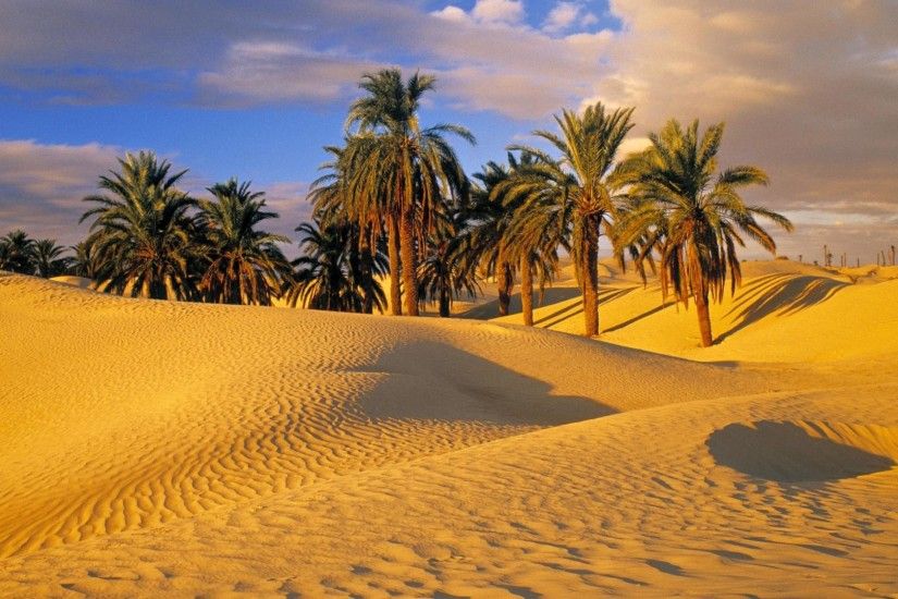 10 sự thật thú vị về Sahara - sa mạc huyền thoại của Trái Đất