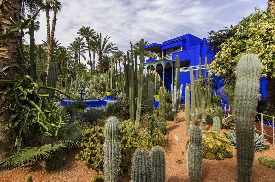 vuon_Majorelle