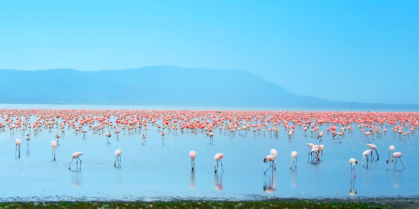 lake nukuru