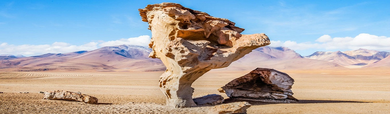 Cây đá – Stone tree: một khối đá có hình dáng giống cây cao khoảng 5m, được hình thành do sự đá núi lửa ở sa mạc Siloli.