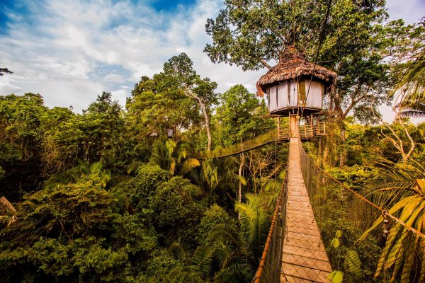 tree-house-peru