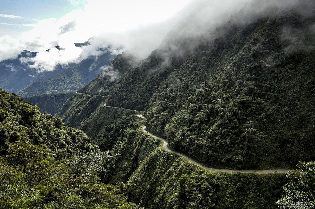 goc-rong-dead-road