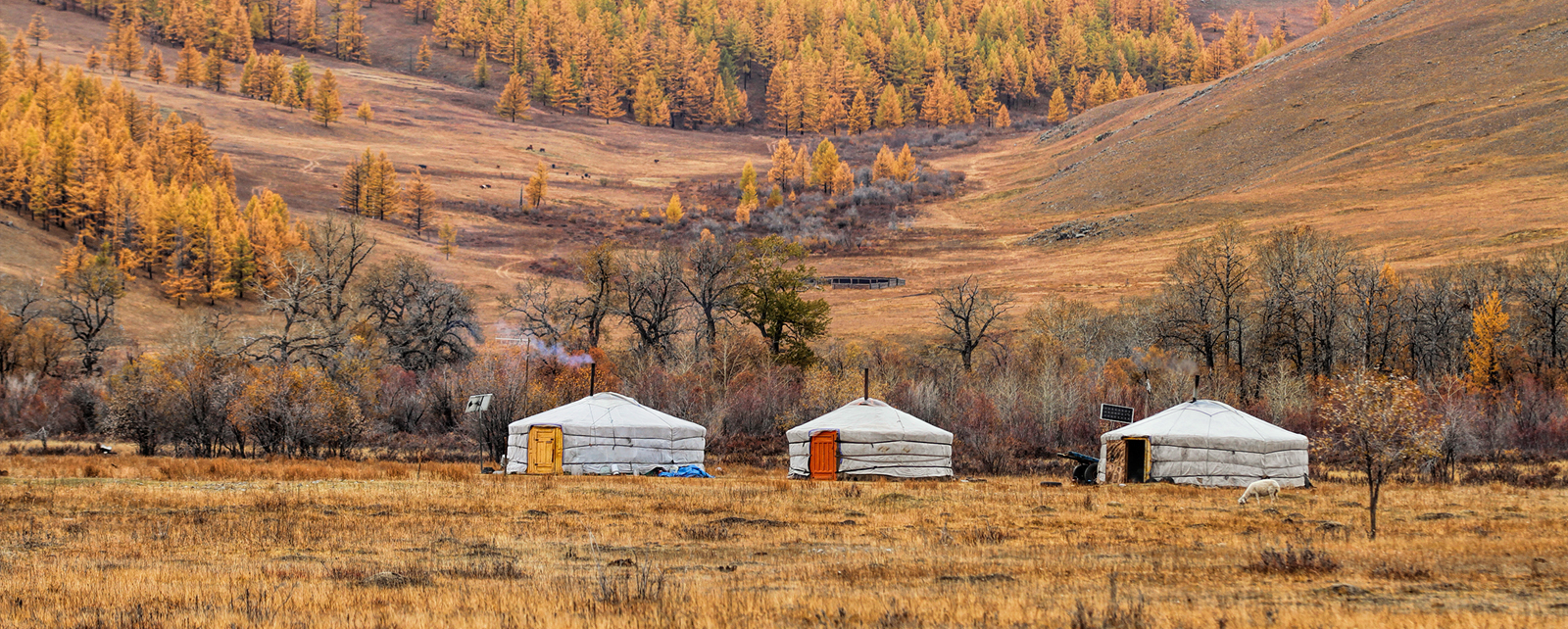 Autumn_in_Mongolia