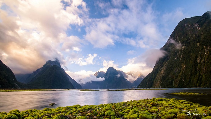 Milford-Sound