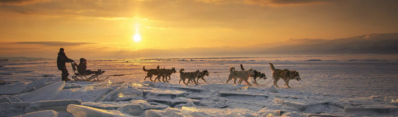 Khám phá vùng viễn đông Siberia trên những chuyến xe kéo bằng chó Husky. 