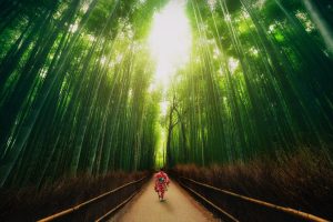 Arashiyama-1