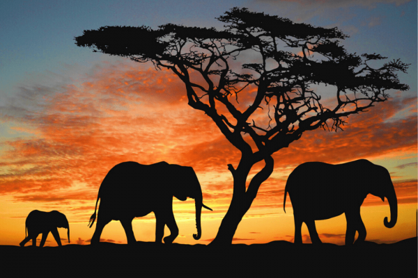 Du lịch Kenya