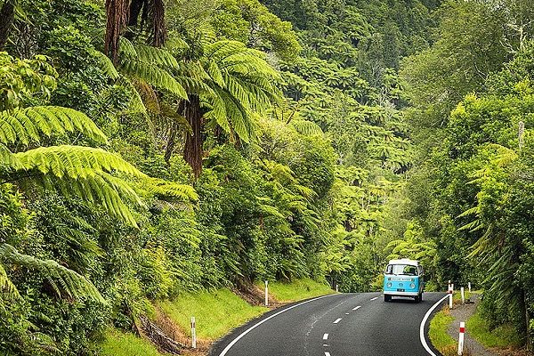 Đảo Bắc New Zealand.